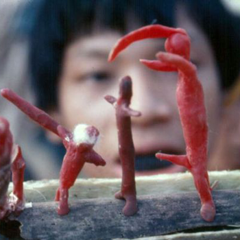 yanomami_esculpe_lizot