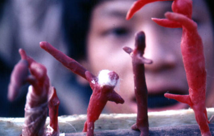 Secrets of the Tribe, de José Padilha, un muy bien dotado Lizot