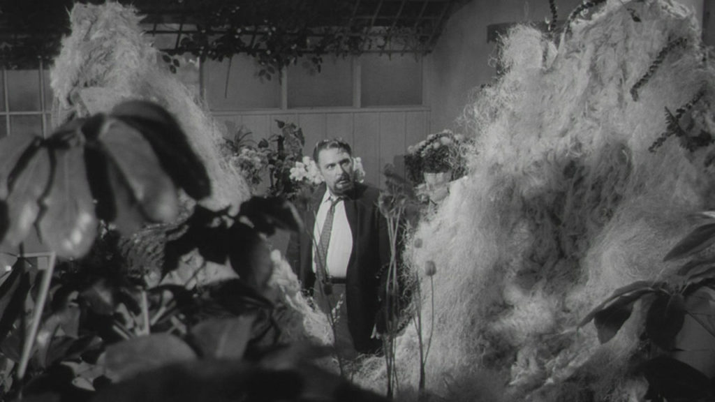 The Little Shop of Horrors de Roger Corman